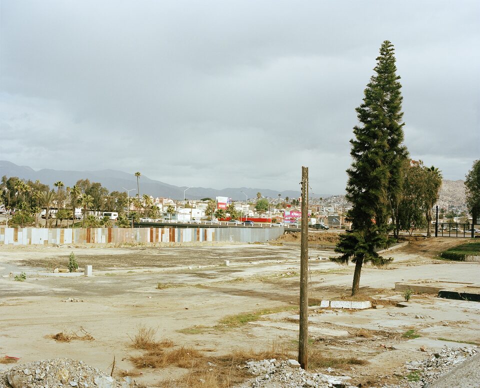 Vacant paved foreground with a tall tree and low buildings in the distance
